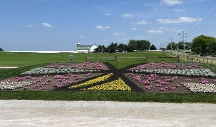 The Quilt Gardens
